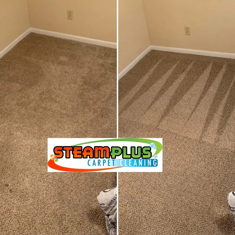 Before After Steamplus cleaning (6) Before After Steamplus cleaning (6)